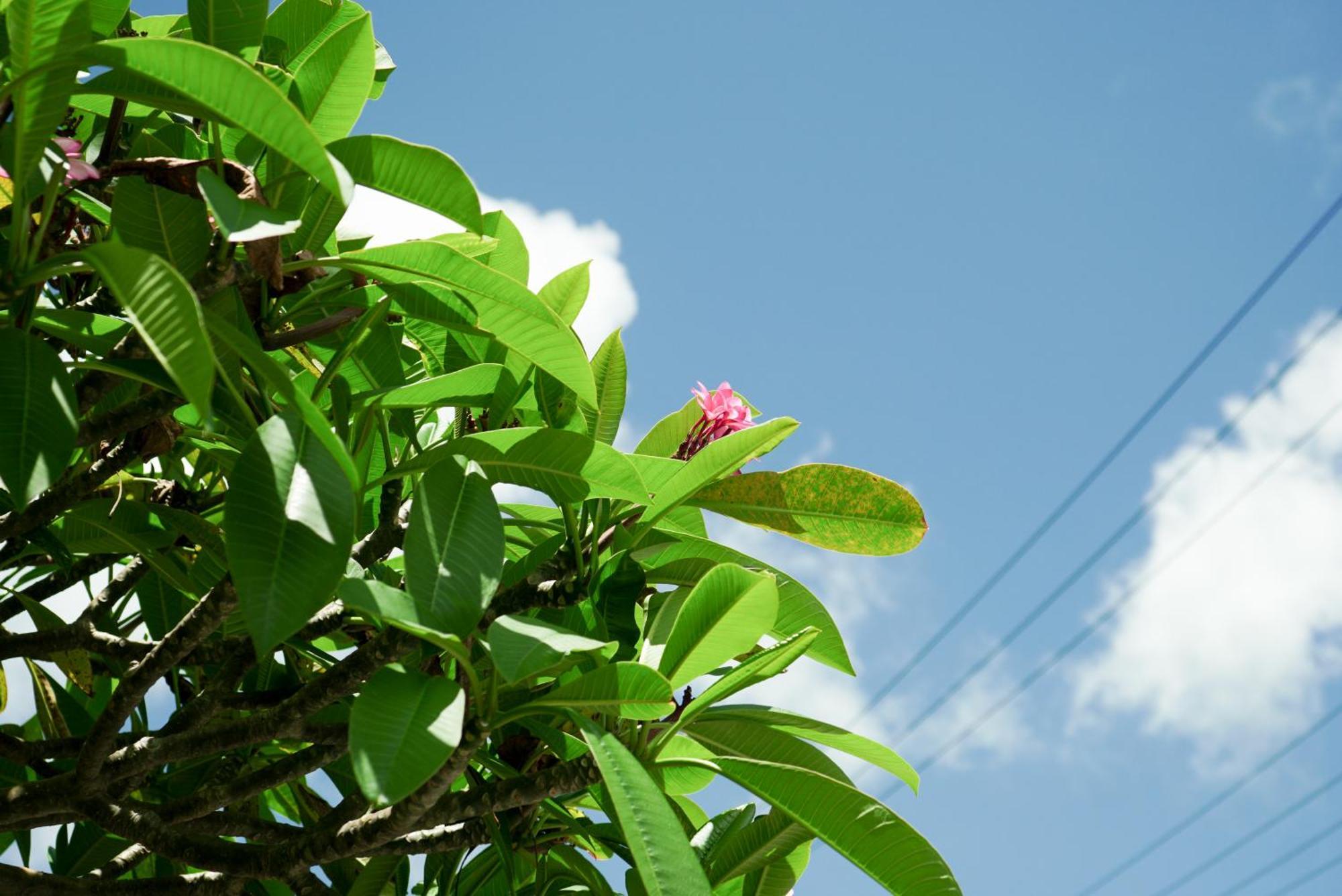 Sunset Beach House Okinawa Onna Exterior foto